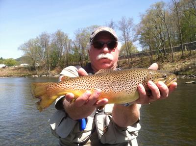 deerfield river brown