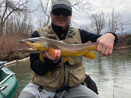 big browns on the deerfield river