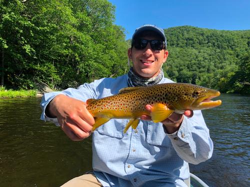 Summer fly fishing on the Deerfield River