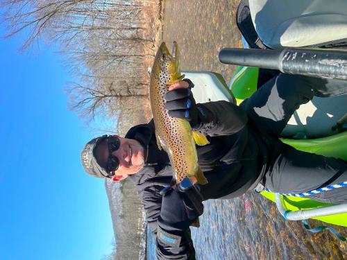 fly fishing browns on the deerfield river